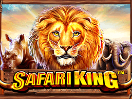 Safari King game cover